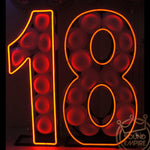 Neon LED Numbers