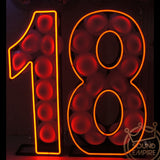 Neon LED Numbers