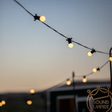 Festoon Lighting